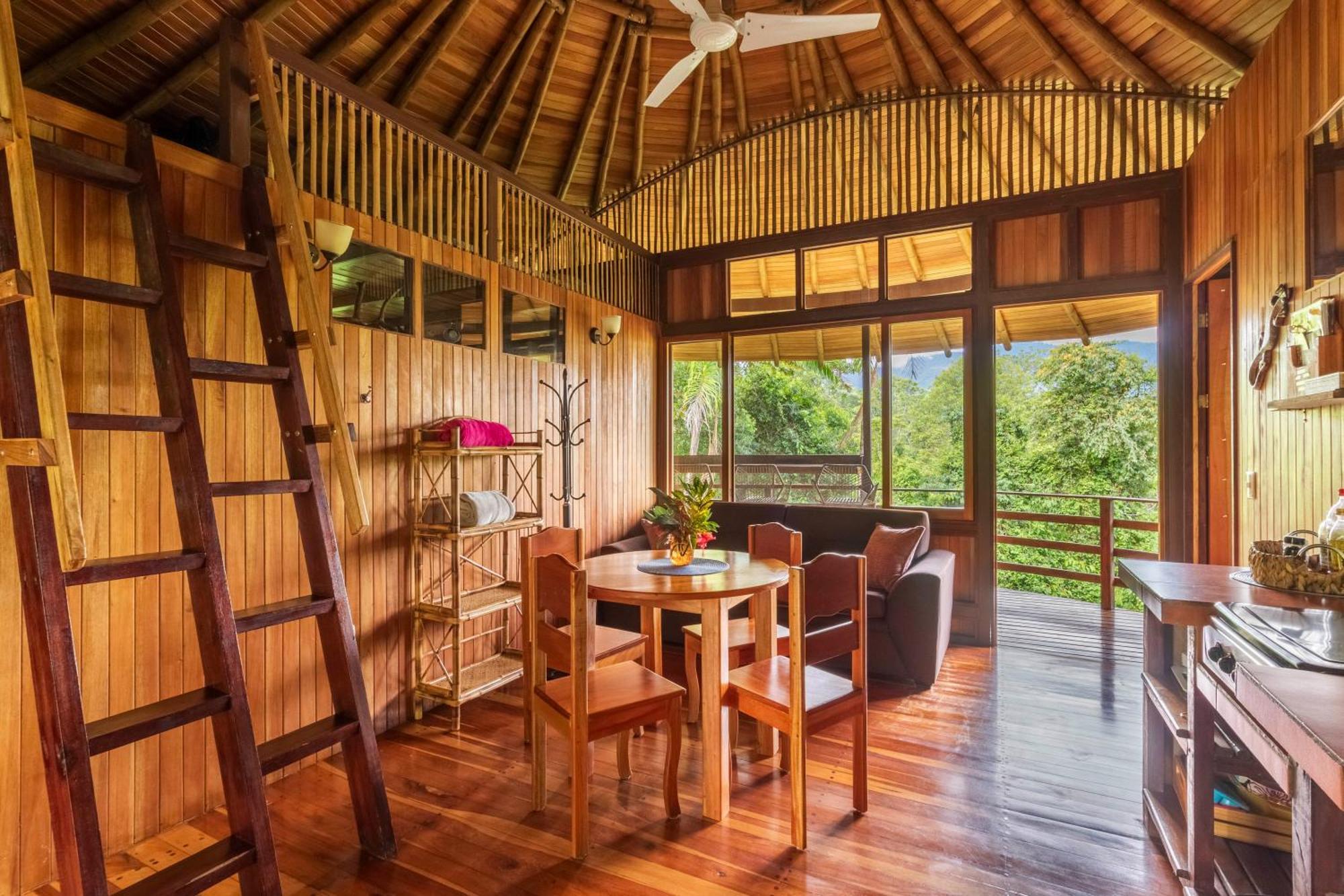 Paradiselodge Jungleguesthouse Platanillo Exterior foto